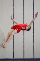 Thumbnail - Cottbus - Artistic Gymnastics - 2020 - Landes-Meisterschaften Ost - Participants 02039_10216.jpg