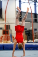 Thumbnail - AK 13-14 - Till Jabine - Gymnastique Artistique - 2020 - Landes-Meisterschaften Ost - Participants - Cottbus 02039_10286.jpg