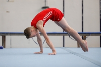 Thumbnail - AK 13-14 - Till Jabine - Спортивная гимнастика - 2020 - Landes-Meisterschaften Ost - Participants - Cottbus 02039_10307.jpg