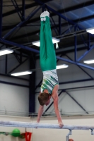 Thumbnail - Participants - Artistic Gymnastics - 2020 - Landes-Meisterschaften Ost 02039_10398.jpg