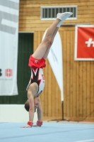 Thumbnail - Hessen - Maxim Golyschkin - Artistic Gymnastics - 2021 - DJM Halle - Teilnehmer - AK 12 02040_02000.jpg