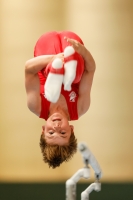 Thumbnail - Brandenburg - Artem Yarovyi - Artistic Gymnastics - 2021 - DJM Halle - Teilnehmer - AK 12 02040_02872.jpg