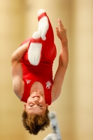 Thumbnail - Brandenburg - Elyas Nabi - Спортивная гимнастика - 2021 - DJM Halle - Teilnehmer - AK 12 02040_02901.jpg
