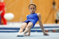 Thumbnail - AK 12 - Спортивная гимнастика - 2021 - DJM Halle - Teilnehmer 02040_03869.jpg