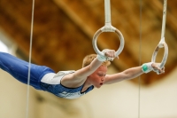 Thumbnail - Baden - Elias Reichenbach - Gymnastique Artistique - 2021 - DJM Halle - Teilnehmer - AK 12 02040_03899.jpg