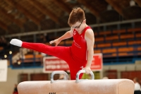 Thumbnail - Brandenburg - Noah Beetz - Спортивная гимнастика - 2021 - DJM Halle - Teilnehmer - AK 13 und 14 02040_06028.jpg