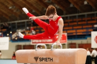 Thumbnail - Brandenburg - Noah Beetz - Спортивная гимнастика - 2021 - DJM Halle - Teilnehmer - AK 13 und 14 02040_06034.jpg