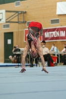 Thumbnail - Sachsen - Fabrice Szakal - Artistic Gymnastics - 2021 - DJM Halle - Teilnehmer - AK 13 und 14 02040_06193.jpg