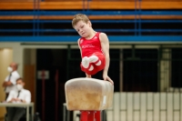 Thumbnail - Brandenburg - Felix Seemann - Gymnastique Artistique - 2021 - DJM Halle - Teilnehmer - AK 13 und 14 02040_06664.jpg