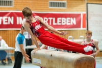 Thumbnail - Bayern - Tom Meier - Gymnastique Artistique - 2021 - DJM Halle - Teilnehmer - AK 13 und 14 02040_08839.jpg