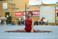 Thumbnail - Brandenburg - Noah Beetz - Спортивная гимнастика - 2021 - DJM Halle - Teilnehmer - AK 13 und 14 02040_08878.jpg