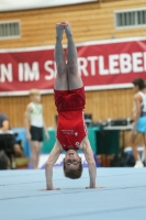 Thumbnail - Brandenburg - Noah Beetz - Спортивная гимнастика - 2021 - DJM Halle - Teilnehmer - AK 13 und 14 02040_08884.jpg