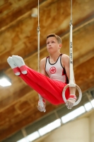Thumbnail - Hessen - Julius Wiegand - Artistic Gymnastics - 2021 - DJM Halle - Teilnehmer - AK 13 und 14 02040_09098.jpg