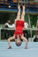 Thumbnail - Brandenburg - Felix Seemann - Ginnastica Artistica - 2021 - DJM Halle - Teilnehmer - AK 13 und 14 02040_09144.jpg