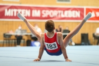 Thumbnail - Niedersachsen - Luan Böhme - Спортивная гимнастика - 2021 - DJM Halle - Teilnehmer - AK 13 und 14 02040_10273.jpg