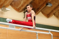 Thumbnail - Bayern - Erik Wiederhold - Gymnastique Artistique - 2021 - DJM Halle - Teilnehmer - AK 13 und 14 02040_10274.jpg