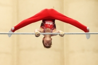 Thumbnail - Bayern - Tom Meier - Artistic Gymnastics - 2021 - DJM Halle - Teilnehmer - AK 13 und 14 02040_10494.jpg