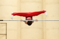 Thumbnail - Bayern - Erik Wiederhold - Artistic Gymnastics - 2021 - DJM Halle - Teilnehmer - AK 13 und 14 02040_10561.jpg