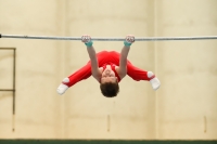 Thumbnail - Brandenburg - Felix Seemann - Artistic Gymnastics - 2021 - DJM Halle - Teilnehmer - AK 13 und 14 02040_10780.jpg