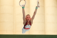 Thumbnail - NRW - Nikita Prohorov - Спортивная гимнастика - 2021 - DJM Halle - Teilnehmer - AK 13 und 14 02040_11418.jpg