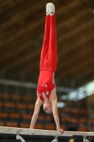 Thumbnail - Brandenburg - Felix Seemann - Gymnastique Artistique - 2021 - DJM Halle - Teilnehmer - AK 13 und 14 02040_11540.jpg