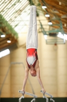 Thumbnail - NRW - Nikita Prohorov - Спортивная гимнастика - 2021 - DJM Halle - Teilnehmer - AK 13 und 14 02040_11605.jpg
