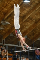Thumbnail - NRW - Nikita Prohorov - Gymnastique Artistique - 2021 - DJM Halle - Teilnehmer - AK 13 und 14 02040_11866.jpg