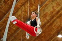 Thumbnail - Schwaben - Jonas Eder - Artistic Gymnastics - 2021 - DJM Halle - Teilnehmer - AK 15 und 16 02040_17260.jpg