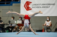 Thumbnail - Hessen - Daniel Roubo - Artistic Gymnastics - 2021 - DJM Halle - Teilnehmer - AK 15 und 16 02040_18025.jpg
