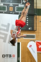 Thumbnail - Hessen - Pascal Brendel - Спортивная гимнастика - 2021 - DJM Halle - Teilnehmer - AK 17 und 18 02040_19545.jpg
