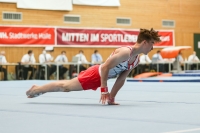 Thumbnail - Hessen - Pascal Brendel - Спортивная гимнастика - 2021 - DJM Halle - Teilnehmer - AK 17 und 18 02040_19561.jpg