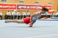 Thumbnail - Hessen - Pascal Brendel - Спортивная гимнастика - 2021 - DJM Halle - Teilnehmer - AK 17 und 18 02040_19562.jpg