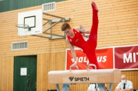 Thumbnail - Brandenburg - Willi Leonhard Binder - Artistic Gymnastics - 2021 - DJM Halle - Teilnehmer - AK 17 und 18 02040_20660.jpg