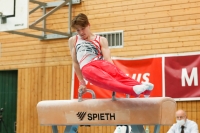 Thumbnail - Hessen - Pascal Brendel - Спортивная гимнастика - 2021 - DJM Halle - Teilnehmer - AK 17 und 18 02040_20696.jpg
