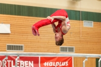 Thumbnail - Brandenburg - Willi Leonhard Binder - Artistic Gymnastics - 2021 - DJM Halle - Teilnehmer - AK 17 und 18 02040_21010.jpg