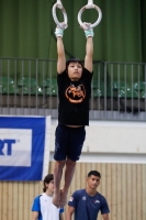 Thumbnail - Participants - Ginnastica Artistica - 2021 - egWohnen Juniorstrophy 02042_00214.jpg