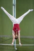 Thumbnail - Hungary - Спортивная гимнастика - 2021 - egWohnen Juniorstrophy - Participants 02042_03200.jpg