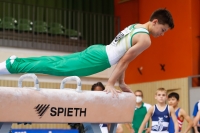 Thumbnail - JT3 - Joshua Tandel - Artistic Gymnastics - 2021 - egWohnen Juniorstrophy - Participants - SV Halle 02042_04672.jpg
