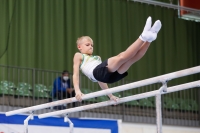 Thumbnail - JT2 - Travis Pichler - Ginnastica Artistica - 2021 - egWohnen Juniorstrophy - Participants - SV Halle 02042_05278.jpg