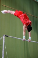 Thumbnail - JT3 - Paul Doan Tran - Artistic Gymnastics - 2021 - egWohnen Juniorstrophy - Participants - SC Cottbus 02042_08017.jpg