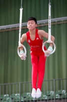 Thumbnail - JT3 - Paul Doan Tran - Artistic Gymnastics - 2021 - egWohnen Juniorstrophy - Participants - SC Cottbus 02042_08092.jpg