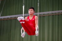 Thumbnail - JT3 - Paul Doan Tran - Artistic Gymnastics - 2021 - egWohnen Juniorstrophy - Participants - SC Cottbus 02042_08095.jpg