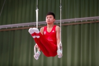 Thumbnail - JT3 - Paul Doan Tran - Artistic Gymnastics - 2021 - egWohnen Juniorstrophy - Participants - SC Cottbus 02042_08096.jpg