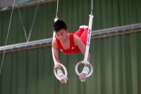Thumbnail - JT3 - Paul Doan Tran - Artistic Gymnastics - 2021 - egWohnen Juniorstrophy - Participants - SC Cottbus 02042_09358.jpg