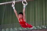 Thumbnail - JT3 - Paul Doan Tran - Artistic Gymnastics - 2021 - egWohnen Juniorstrophy - Participants - SC Cottbus 02042_09368.jpg