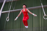 Thumbnail - JT3 - Paul Doan Tran - Artistic Gymnastics - 2021 - egWohnen Juniorstrophy - Participants - SC Cottbus 02042_09369.jpg