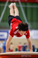 Thumbnail - Poland - Спортивная гимнастика - 2021 - egWohnen Juniorstrophy - Participants 02042_10061.jpg