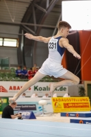 Thumbnail - JT2 - Vincent Lindpointner - Спортивная гимнастика - 2021 - egWohnen Juniorstrophy - Participants - Austria 02042_10910.jpg