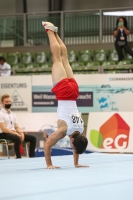 Thumbnail - Poland - Gymnastique Artistique - 2021 - egWohnen Juniorstrophy - Participants 02042_11390.jpg