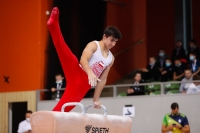 Thumbnail - Poland - Artistic Gymnastics - 2021 - egWohnen Juniorstrophy - Participants 02042_11737.jpg